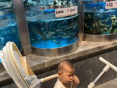 -老船舫·现做活鲜鱼馆(东郊记忆店)