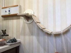 -宠爱国际动物医院·疑难骨科·心肾内科·皮肤科(太阳宫店)