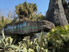 -苍山感通索道