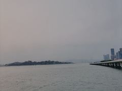 -演武大桥观景平台