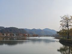 -千年银杏谷文化旅游区