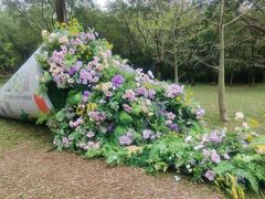 -广州市白云山风景名胜区