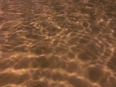 -Naughty Nuri’s Phuket