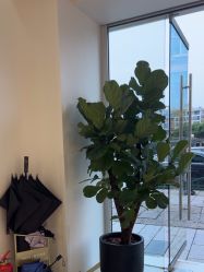 -WENDY·温迪皮肤管理