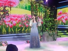 -中央广播电视总台(光华路办公区)