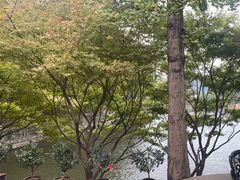 -天怡·鱼工厂(梅溪湖店)