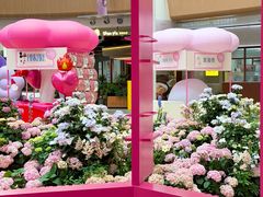 -上海长风大悦城