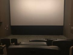 -汉阳天河电影城(王家湾店)