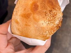 胡椒饼-百年夯碳烤胡椒饼(阿拉城店)