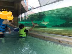 -新加坡水上探险乐园