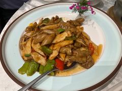 -丁老爷子苏香圆