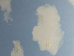 -有肆年整体软装设计 窗帘墙布硬包挂画(红星美凯龙双楠店)