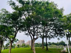 -白石龙音乐公园