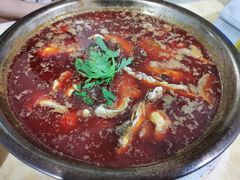 -重庆特色冷锅鱼(武大店)