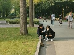 -苏州河梦清园环保主题公园