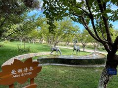-静之湖度假区