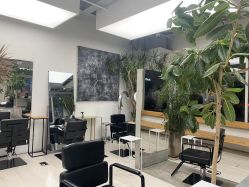 -Hair  Gallery