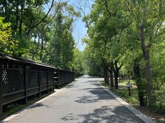 -同里国家湿地公园