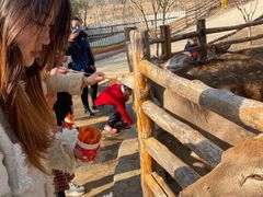 -竹泉村旅游度假区