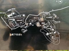 -南山植物园