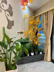 -芳朵美容养生SPA