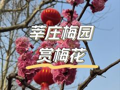-莘庄梅园
