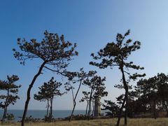 -老太太海鲜城(森林公园任家台店)