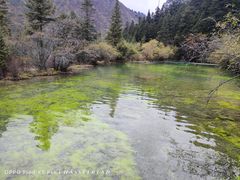 -西姆山居酒店(九寨沟沟口店)