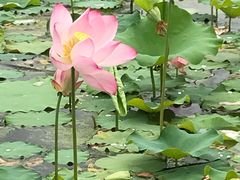 -永康森林公园