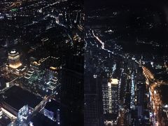 -顶鲜101美食美景餐厅