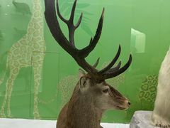 -国家自然博物馆