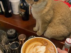 -咖法森林·咖啡  酒吧(天河店)