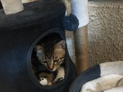 -逃脱反斗城沉浸剧情密室(北京路店)