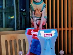 -猫在这儿猫咪咖啡馆·撸猫馆