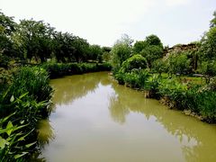 -鹅湖玫瑰文化园