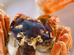 -蟹天蟹地农家菜·阳澄湖大闸蟹(浅水湾店)