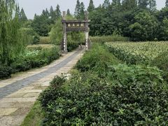 -杏花村文化旅游区