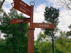 -中山市树木园