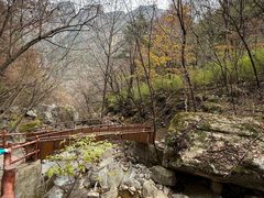 -青峰峡国家森林公园