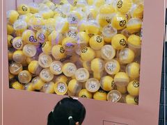 -元气寿司(东方宝泰店)