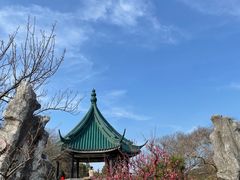 -无锡梅园公园