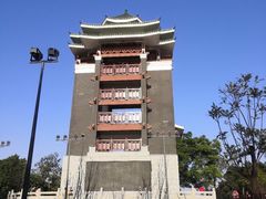 -王借岗森林公园