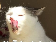 -老大昌(淮海中路店)