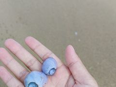 -海棠湾