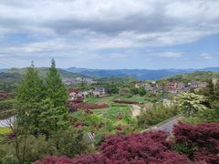 -四明山国家森林公园
