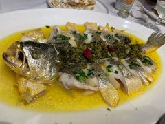 鸡油开刀蒸大黄鱼-上海会馆(香港名都店)