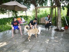 P1010474-良成狗狗乐园