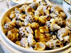 -易门野生菌府·菌海森林(月牙潭公园店)
