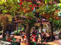 -The Grounds of Alexandria