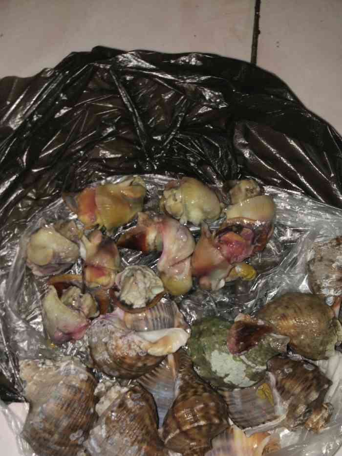 打分 40 /人 买的大海螺都是死的,煮完了都是臭的,都变成紫色的了